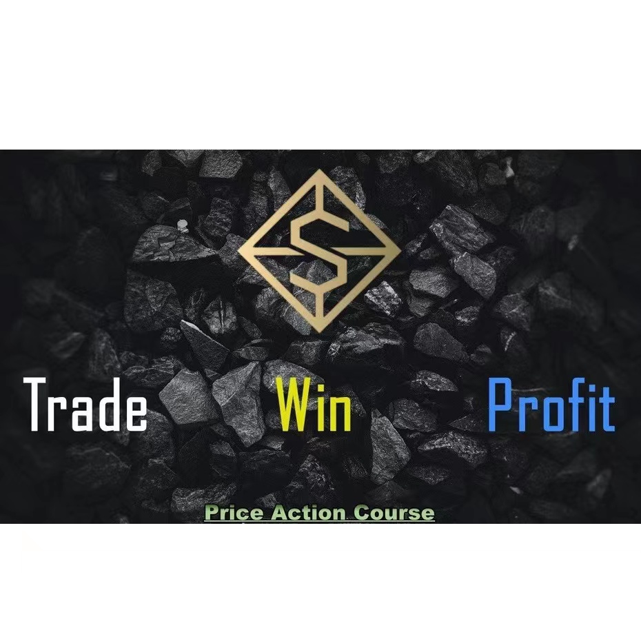 TWP Price Action Course 中英字幕-趋势跟踪之道Pro