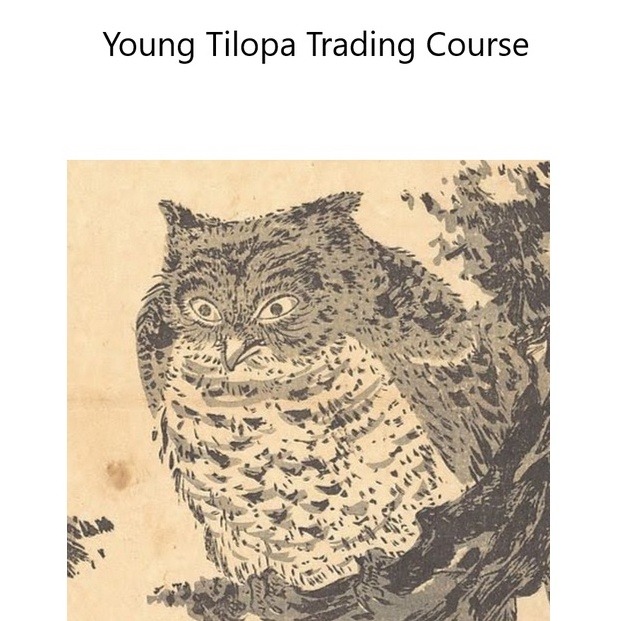 Young Tilopa Trading Course-趋势跟踪之道Pro