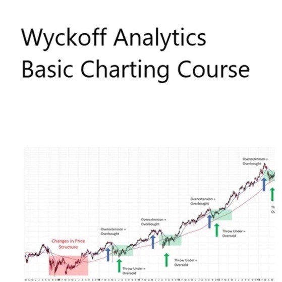 Wyckoff Analytics – Basic Charting Course 中英字幕-趋势跟踪之道Pro