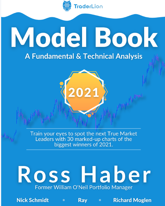 2021-TraderLion-Model-Book 牛股模型书-趋势跟踪之道Pro