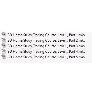 图片[1]-IBD Investor Business Daily : Foundations of Investing Level 1 中英字幕-趋势跟踪之道Pro