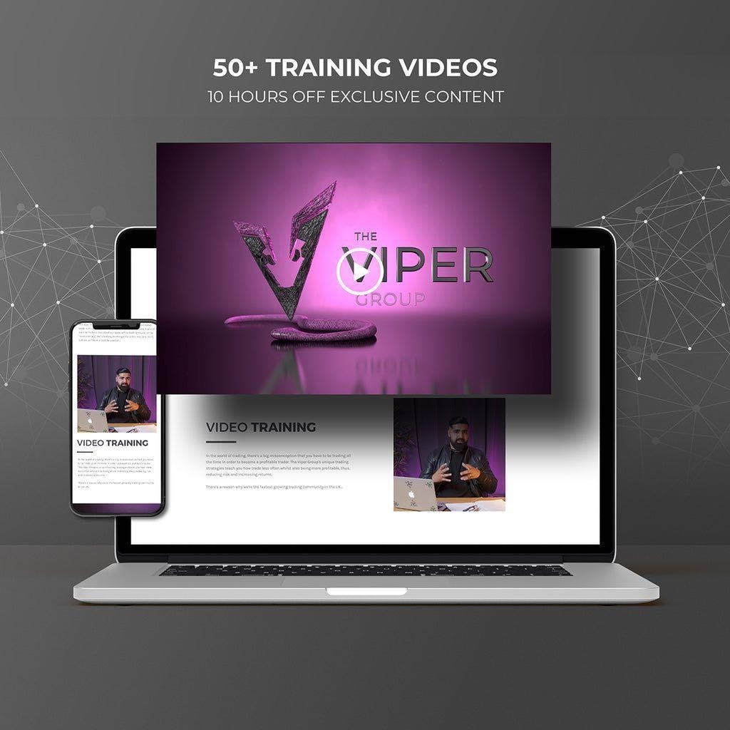 图片[2]-The Viper Group Forex Trading Course 2022-趋势跟踪之道Pro