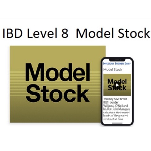 IBD Investor Business Daily Level 8 Model Stock 中英字幕-趋势跟踪之道Pro