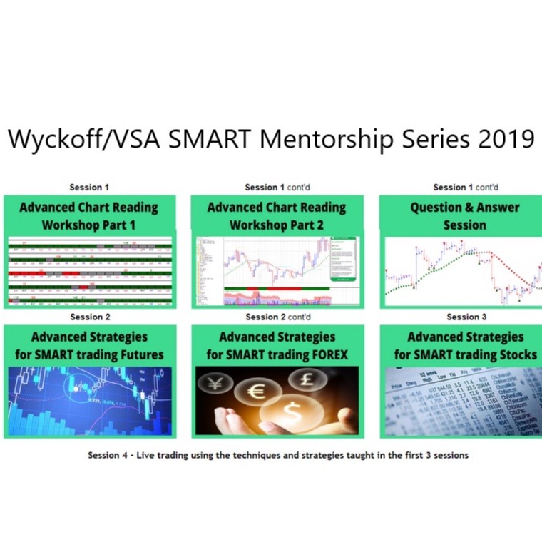 Wyckoff/VSA SMART Mentorship Series 2019-趋势跟踪之道Pro