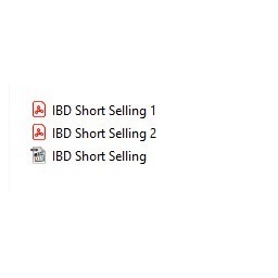 图片[2]-Investor Business Daily IBD Home Study Program Level 7 Short Selling 中英字幕-趋势跟踪之道Pro