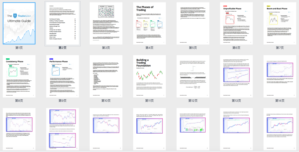 图片[3]-2023 Traderlion 交易大会day1~day4视频中英字幕 & 终极交易指南115页彩色高清pdf（含RSL相对强度线2.0结合MA21 通达信代码）-趋势跟踪之道Pro