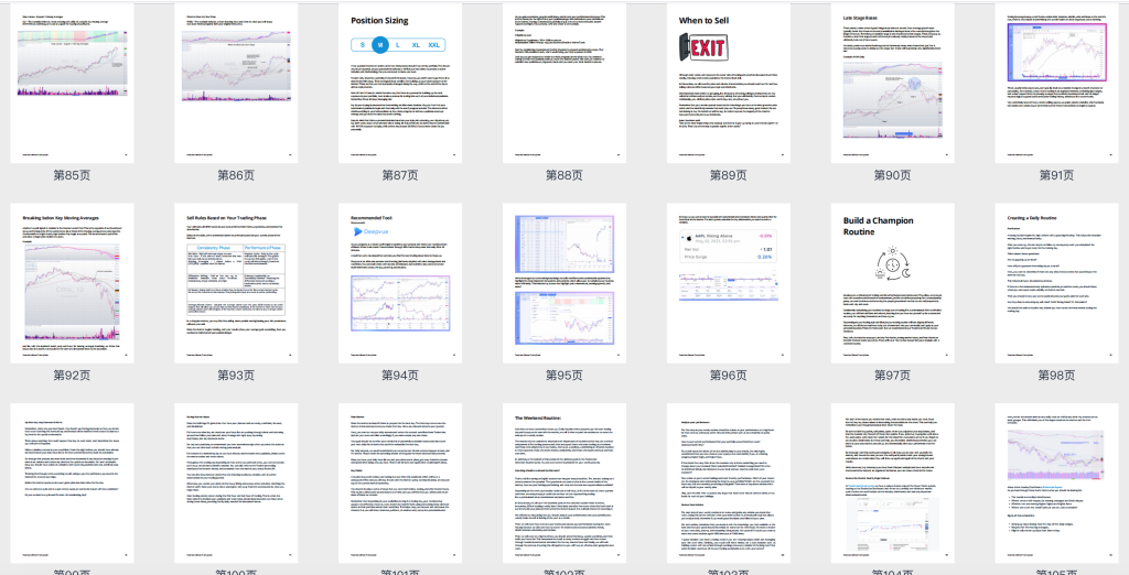 图片[7]-2023 Traderlion 交易大会day1~day4视频中英字幕 & 终极交易指南115页彩色高清pdf（含RSL相对强度线2.0结合MA21 通达信代码）-趋势跟踪之道Pro