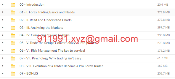 图片[3]-Forex Pro Trader Program – Young Trader Wealth-趋势跟踪之道Pro