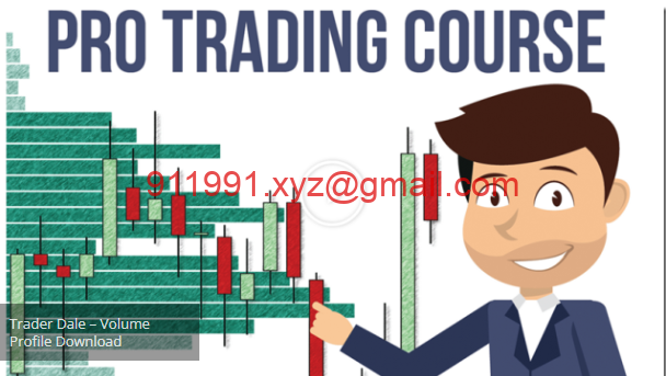 Trader Dale – Volume Profile ELITE PACK-趋势跟踪之道Pro