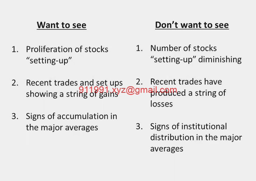 图片[2]-43、Finding Leading Stocks in a Bear Market 在熊市寻找领导股票 MPA视频教程中英字幕-趋势跟踪之道Pro