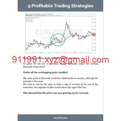 图片[2]-9 Advanced and Profitable Trading Strategies-趋势跟踪之道Pro