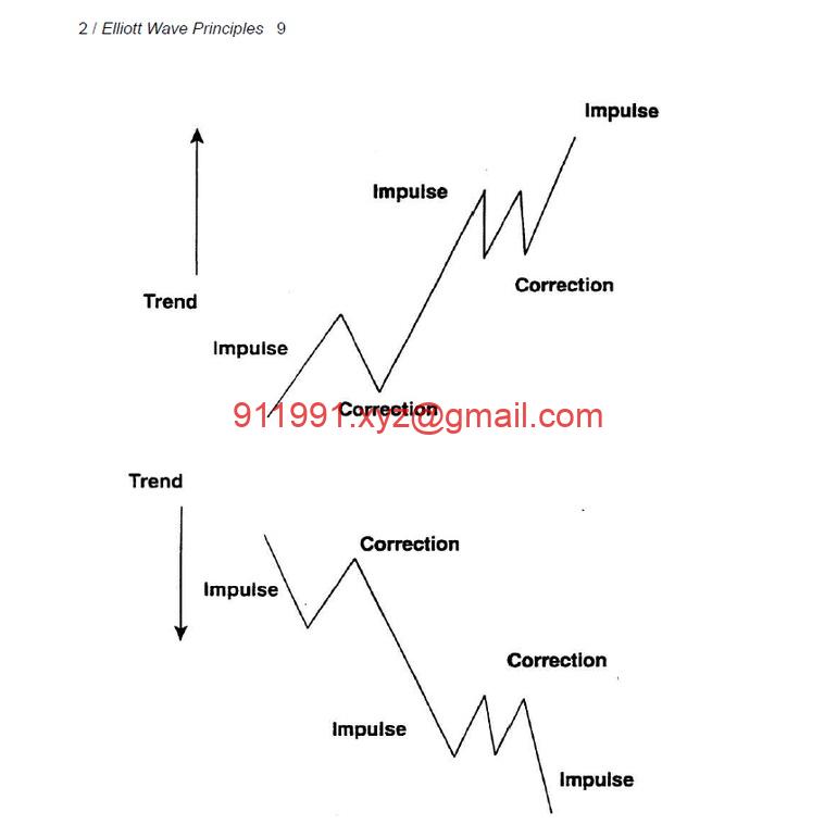 图片[3]-How to Identify High Profit Elliott Wave Trades in Real-Time by Myles Wilson 如何实时识别高利润Elliott Wave交易-趋势跟踪之道Pro