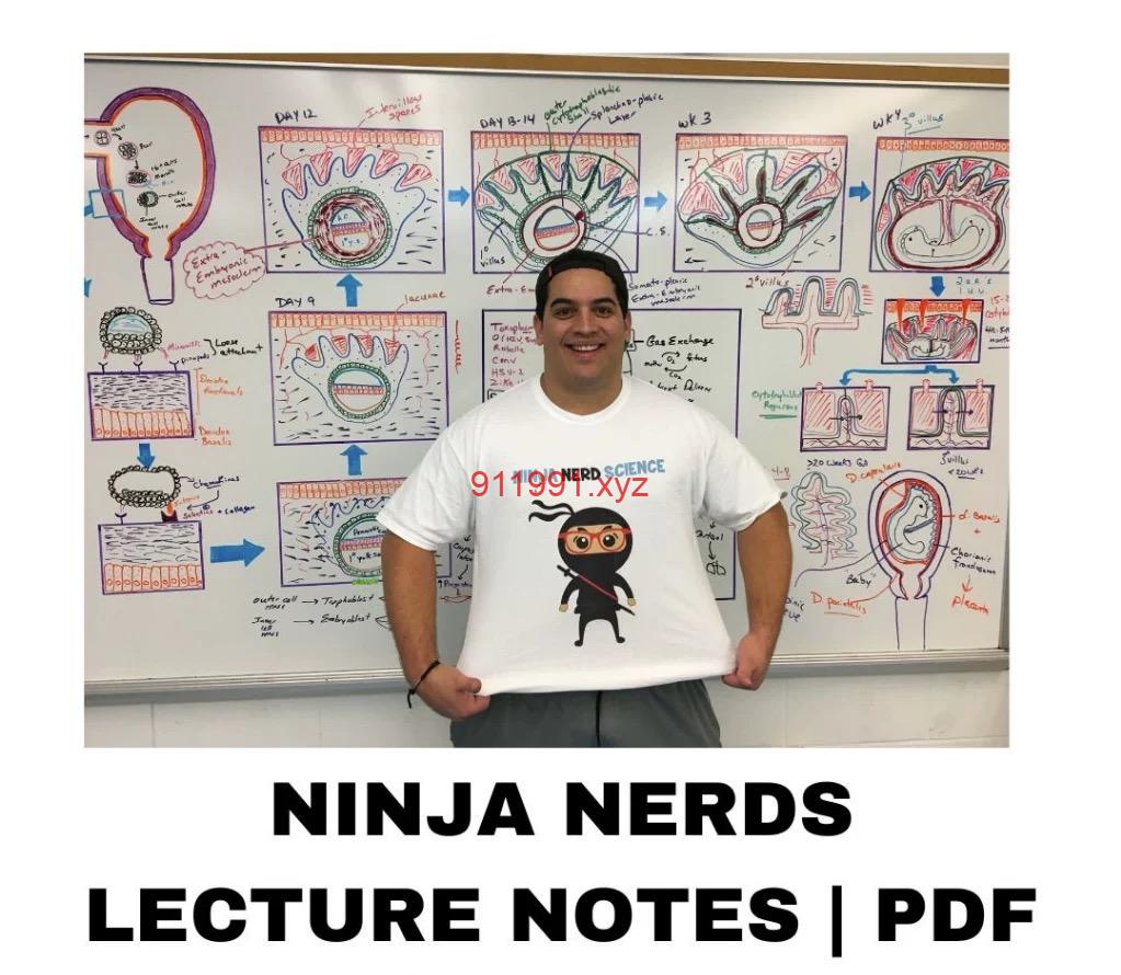 Ninja Nerd Lecture Notes PDF-趋势跟踪之道Pro