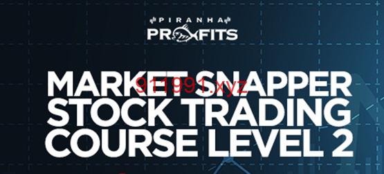 Piranha Profits – Stock Trading Course Level 2 Market Snapper-趋势跟踪之道Pro