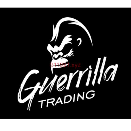 The Guerrilla Online Video Course by Guerrilla Trading-趋势跟踪之道Pro